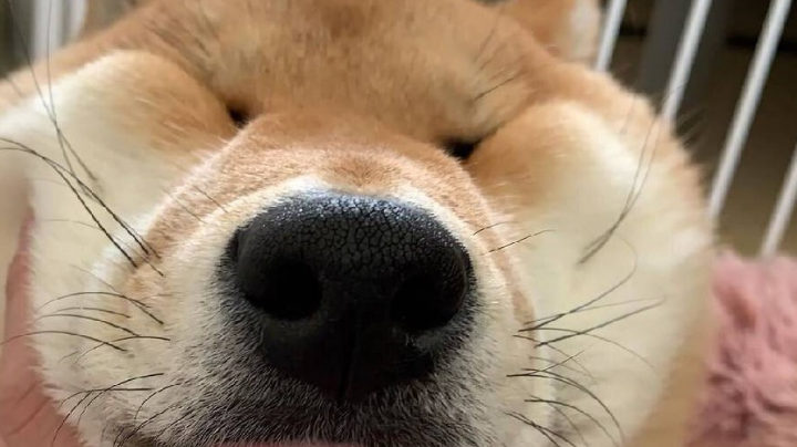 ，