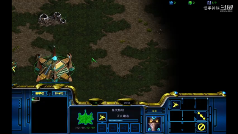 pvz一波就没了2021-08-02