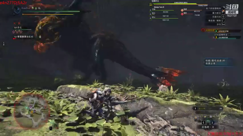 【2021-07-31 20点场】肖雕：斗鱼第一值得关注的主播