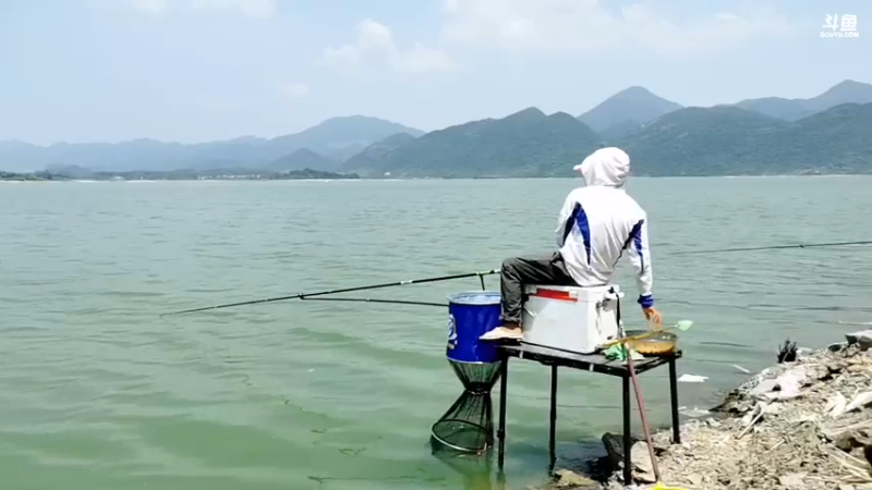 【2021-08-02 11点场】中华户外钓鱼：通山钓翘嘴