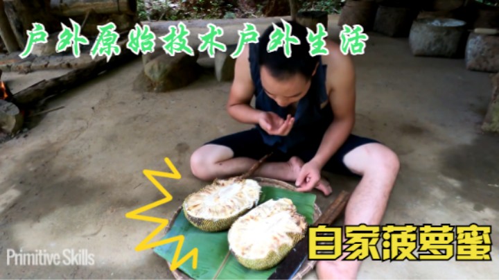 户外原始技术户外生活（一）自家菠萝蜜