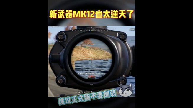 新武器Mk12也太厉害了吧，mini瞬间不香了~