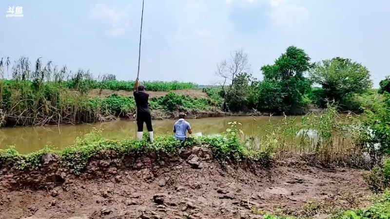 【2021-08-03 13点场】洪湖小肖：仙岛湖确认地方