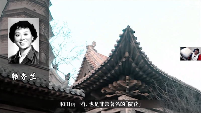 我在斗鱼看pigff直播绝地求生