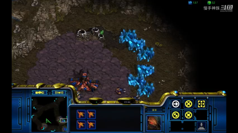 1打1招pvz甩飞龙