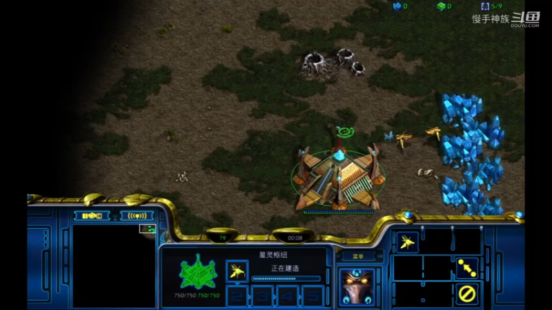 斗魂pvt应对双vf开局2021-08-04