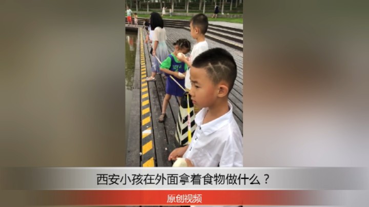 分享备用：西安直播——西安小孩在湿地公园湖边拿着食物给什么喂东西吃？