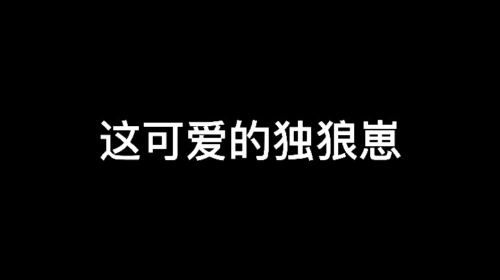 这独狼也太可爱了吧