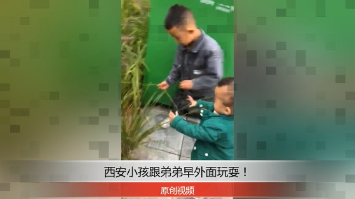 分享备用：西安直播——西安小孩跟弟弟在外面玩耍，你看他们去什么地方？！