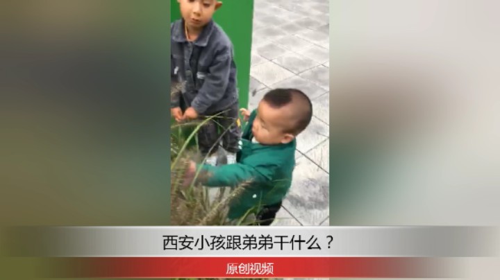 分享备用：西安直播——西安小孩跟弟弟在外面玩耍！