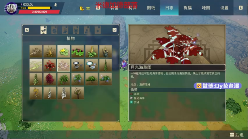 【2021-08-04 02点场】Dy花老湿：【炽羽金龙，装届之王】