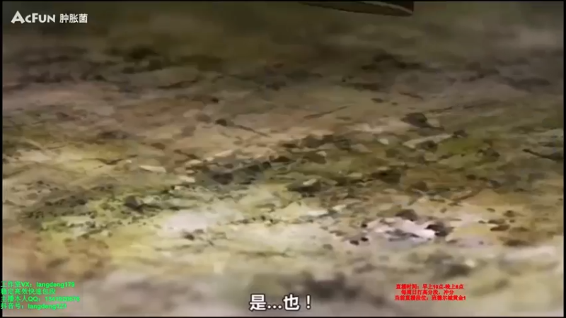 【2021-08-04 16点场】浪灯丶：猛男信爷，海妖死舞疯狗流