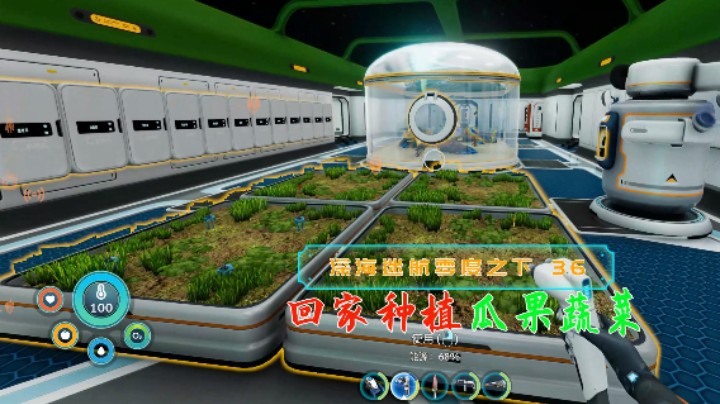 回家种植瓜果蔬菜|血舞深海迷航零度之下实况36
