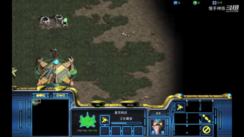 pvt天梯反打一波没了2021-08-04 14-00-05