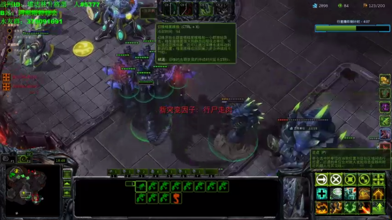【2021-08-02 20点场】塔达林的死亡舰队：服务器可别再炸了