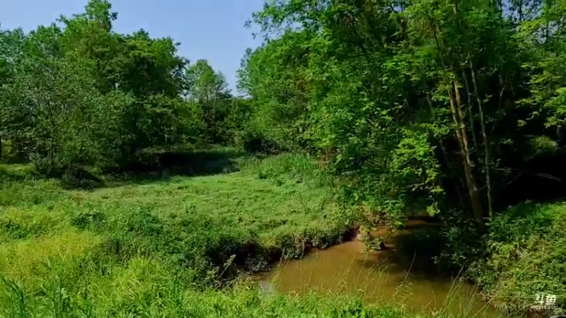 【2021-08-04 10点场】逐梦兄弟：10点半开播