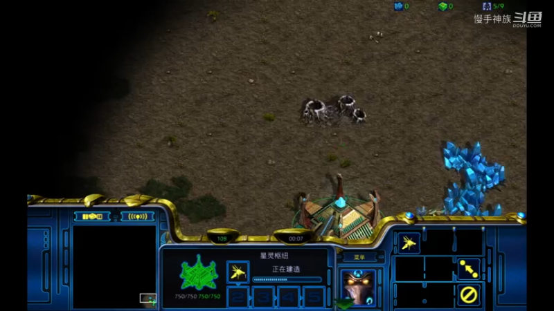 pvz飞龙搞得有点烦，红球搞起2021-08-05