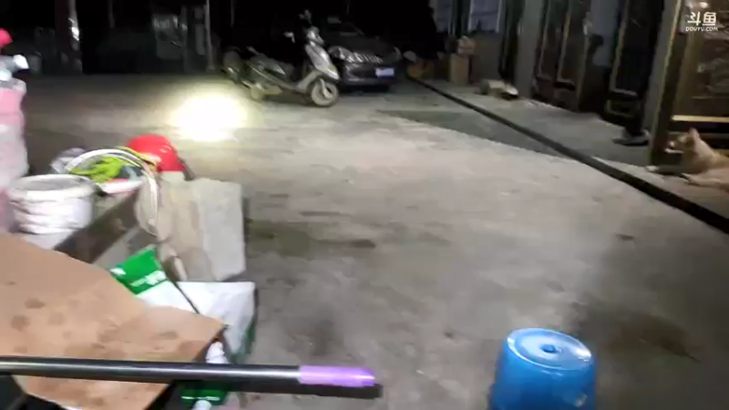 【2021-08-05 21点场】魅力生活i：美食，干锅牛蛙。。。。。。