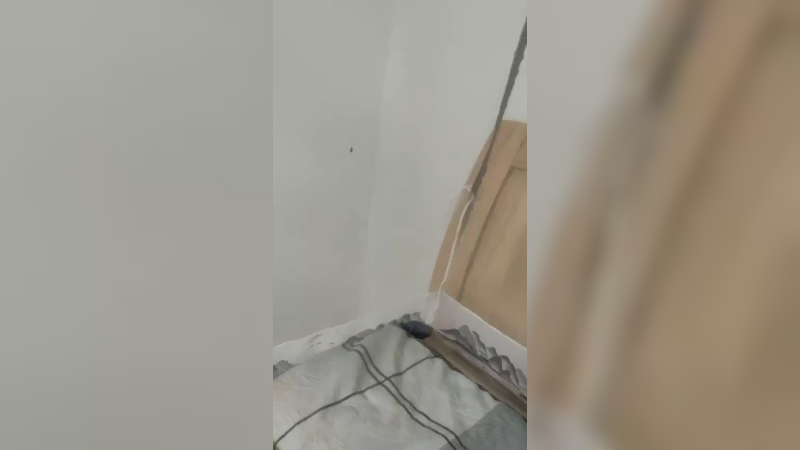 完全离谱发布了一个斗鱼视频2021-08-05