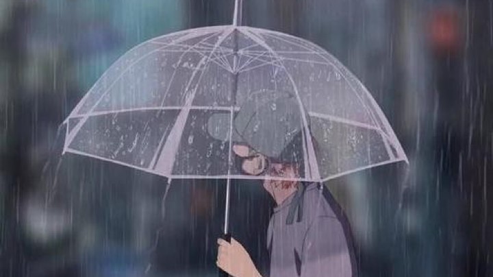 习惯了一个人也挺好的～