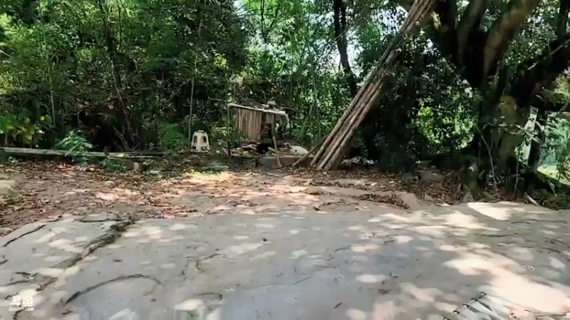 【2021-08-05 13点场】川味箩卜：基地的快乐时光！