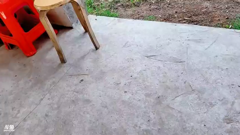 【2021-08-05 13点场】洪湖小肖：搞泥鳅下排钩就是干