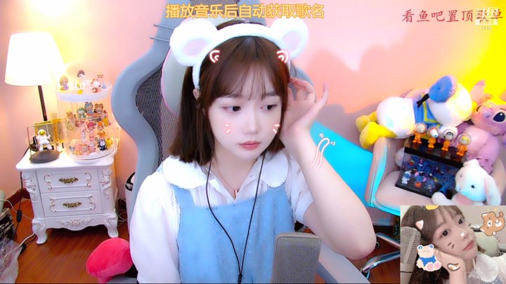 我是一只鱼
