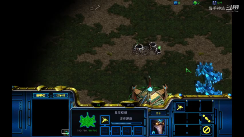 pvt斗魂失误了很亏2021-08-05