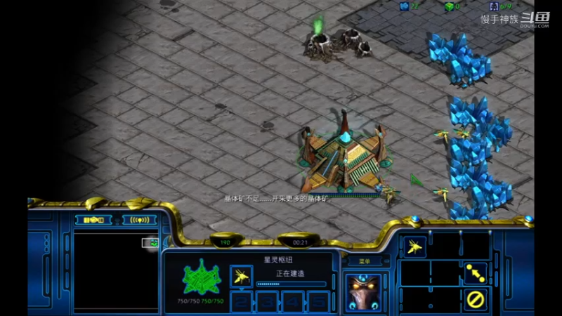 pvz天梯，飞龙打主家，果断换家2021-08-05 09-25-21