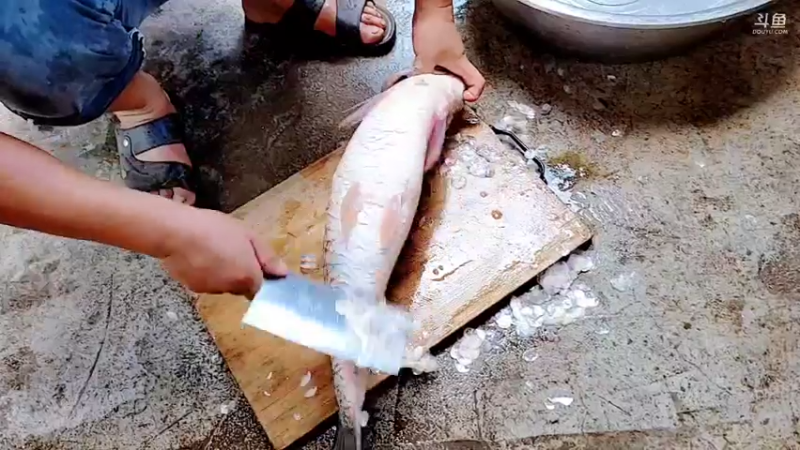 【2021-08-05 17点场】洪湖小肖：搞泥鳅下排钩就是干