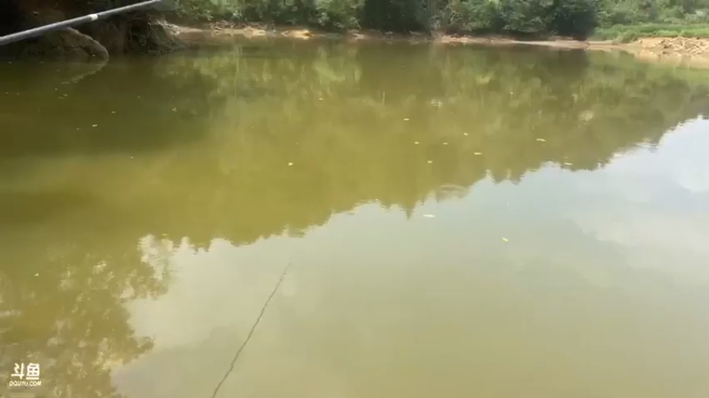 【2021-08-06 11点场】魅力生活i：钓条鱼山洞做美食