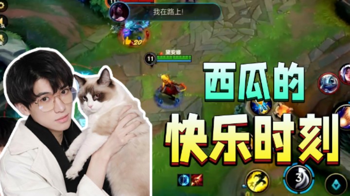 西瓜的快乐时刻