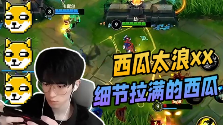 细节拉满的西瓜