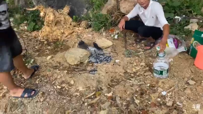 【2021-08-06 13点场】魅力生活i：钓条鱼山洞做美食