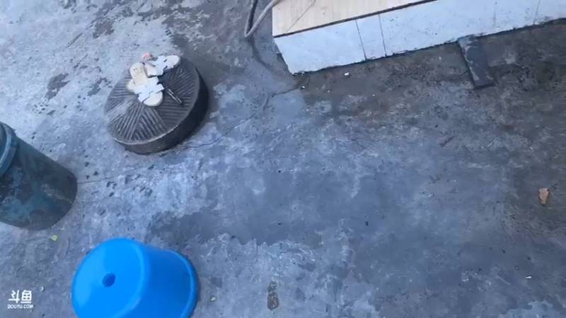 【2021-08-06 19点场】魅力生活i：美食鲑鱼乳猪肉