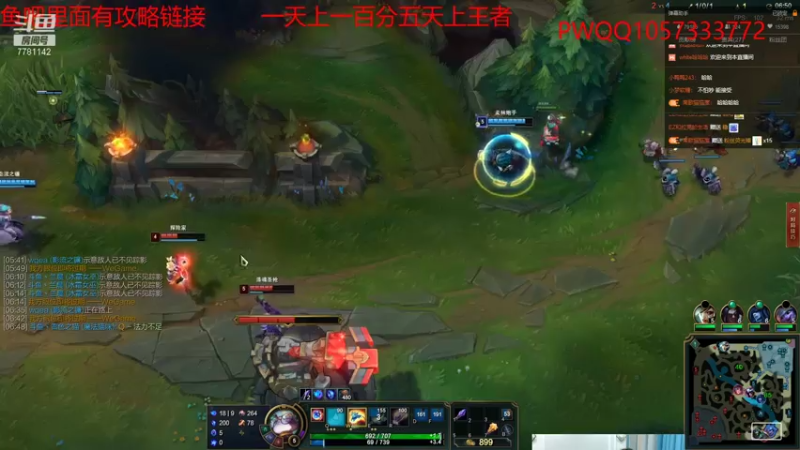 【2021-08-04 22点场】雪色之猫：只属于猫咪的直播间