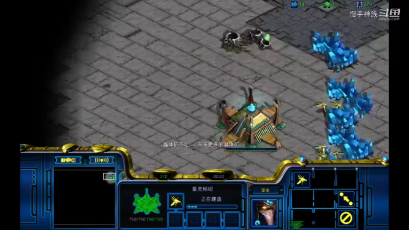 天梯pvt慢手的节奏2021-08-06