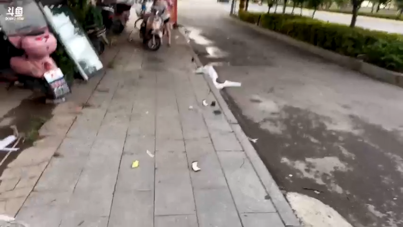 【2021-08-05 18点场】驴酱的冯雨大王：冯雨大王：新人主播，求个关注~