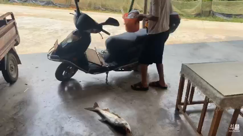 【2021-08-06 12点场】魅力生活i：钓条鱼山洞做美食