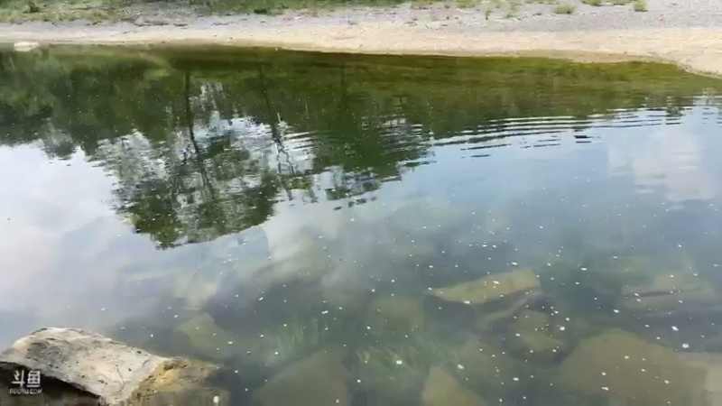 【2021-08-07 10点场】魅力生活i：钓点餐条吃吃