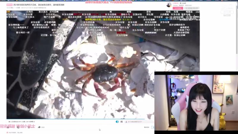 【2021-08-06 21点场】狐狸酱大魔王：··来玩游戏吧~、