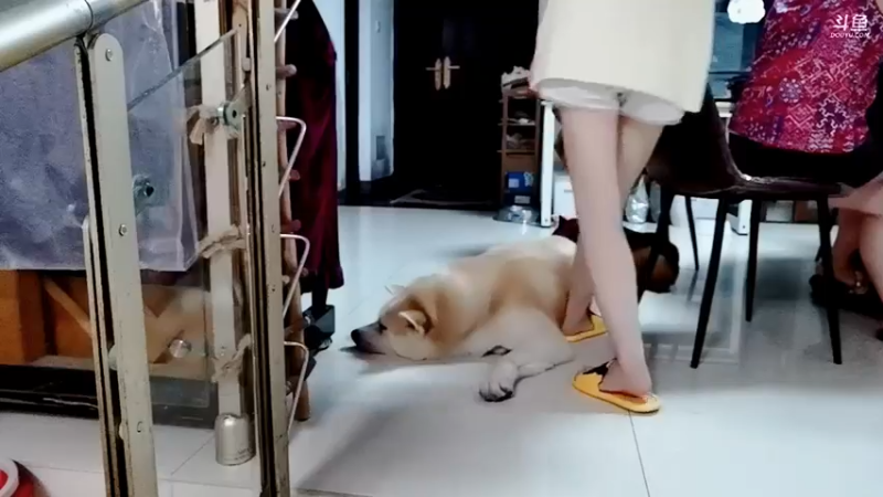 【2021-08-07 18点场】晒网的慧儿呀：只想开心 不想懂事