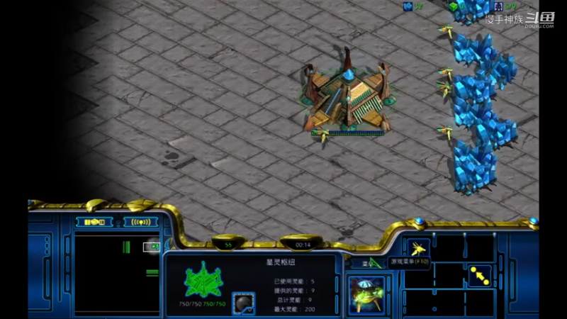 pvz天梯甲虫局2021-08-07