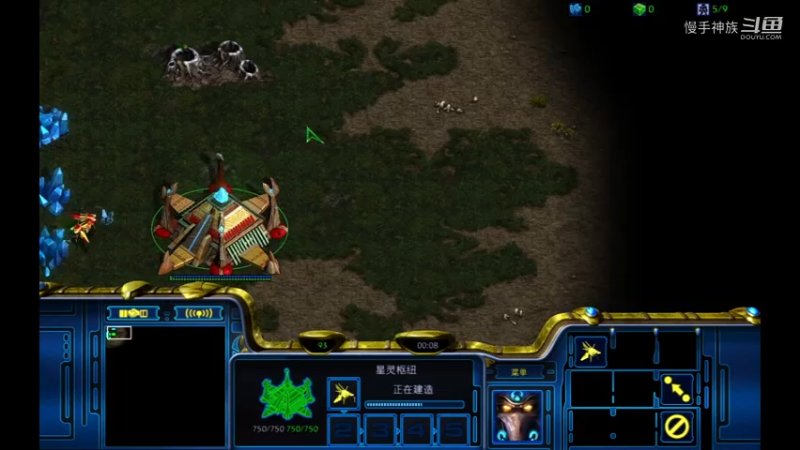 pvp拼甲虫2021-08-07