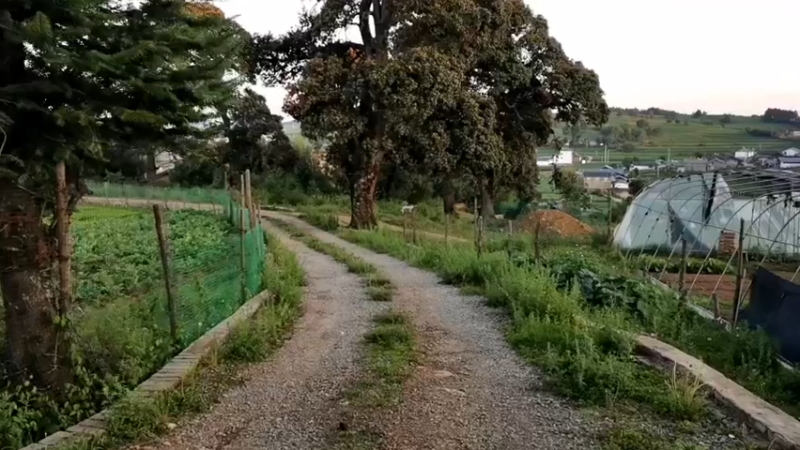 【2021-08-03 19点场】在线天文：纳西族火把节