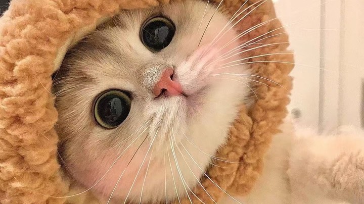 大乱斗搞起来
