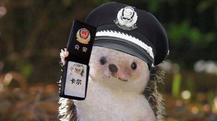拉跨