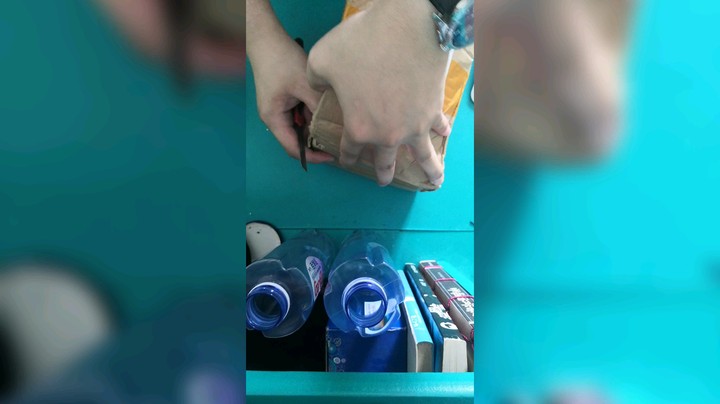 麝香龟苗开箱！翻车了？