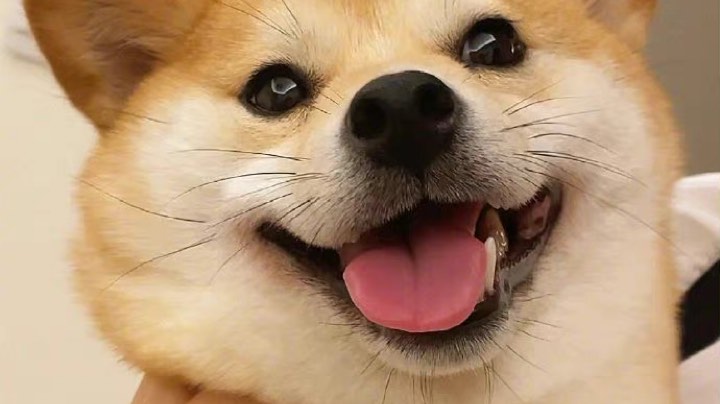 特种部队