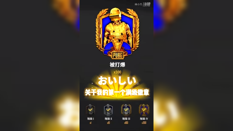 关于我的第一个满级徽章
